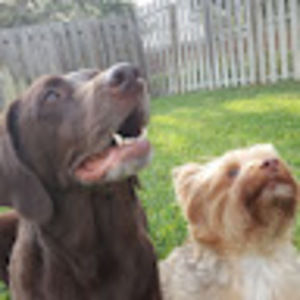 Meet your Posher, Kari